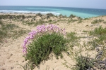 dscn1141
