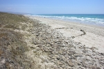 dscn0255