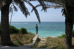 dscn1131_0